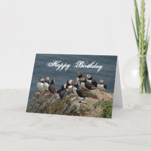 Puffin Birthday Greetings Kort