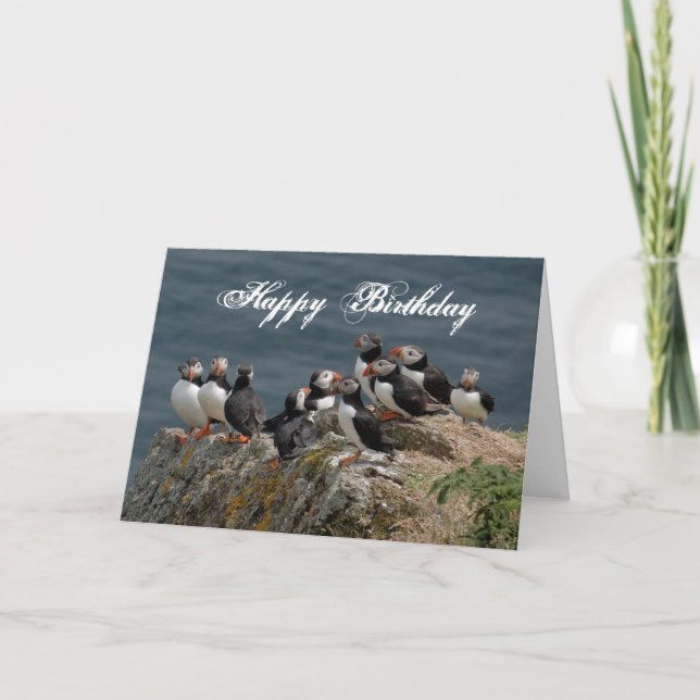 Puffin Birthday Greetings Kort (Framsida)