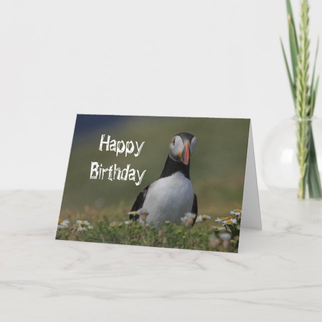 Puffin Birthday Greetings Kort (Framsida)