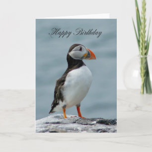 Puffin Birthday-hälsningskort Kort