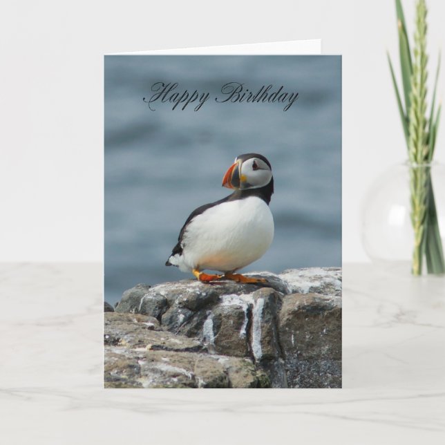 Puffin Birthday-hälsningskort Kort (Framsida)