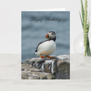 Puffin Birthday-hälsningskort Kort