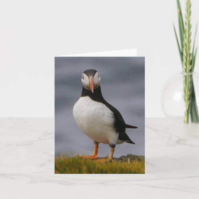 Puffin Card Tack Kort (Framsida)