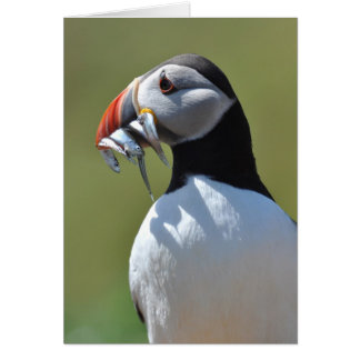 Puffin Fisherman Hälsningskort