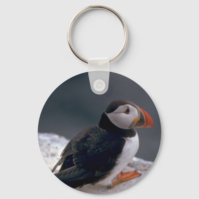 Puffin, Fratercula artica Nyckelring (Framsida)