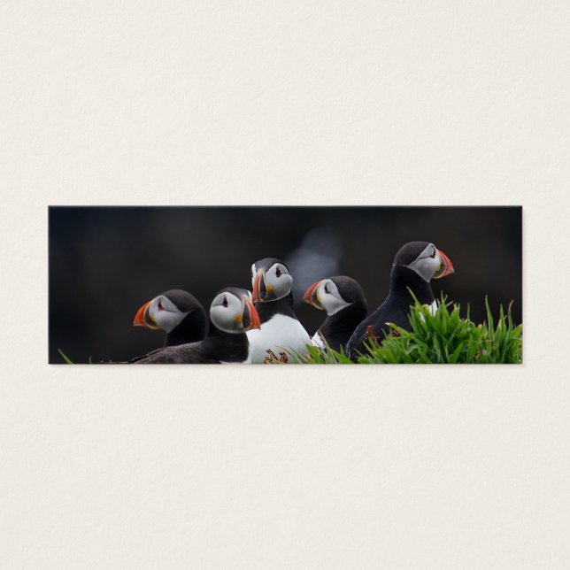 Puffin Gang-profilkort Litet Visitkort (Framsidan)