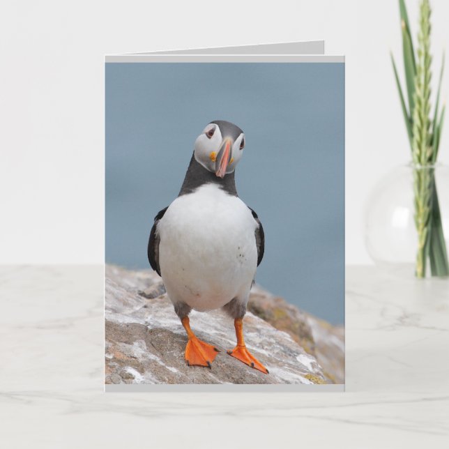 Puffin-hälsningskort Kort (Framsida)