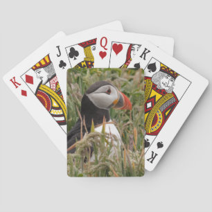 Puffin i gräset kortlek