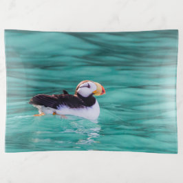 Puffin in Resurrection Bay, Alaska