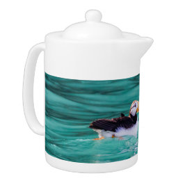 Puffin in Resurrection Bay, Alaska