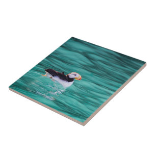Puffin in Resurrection Bay, Alaska Kakelplatta