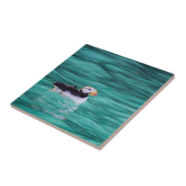 Puffin in Resurrection Bay, Alaska Kakelplatta (Sidan)
