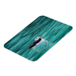 Puffin in Resurrection Bay, Alaska Magnet