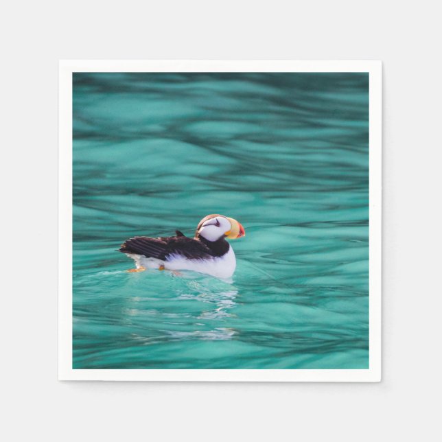 Puffin in Resurrection Bay, Alaska Pappersservett (Framsidan)