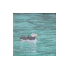 Puffin in Resurrection Bay, Alaska Stenmagnet