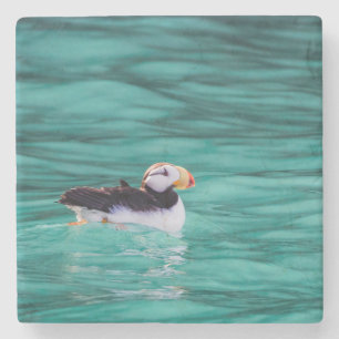Puffin in Resurrection Bay, Alaska Stenunderlägg