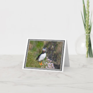 Puffin! Isle of Staffa, Skottland Kort