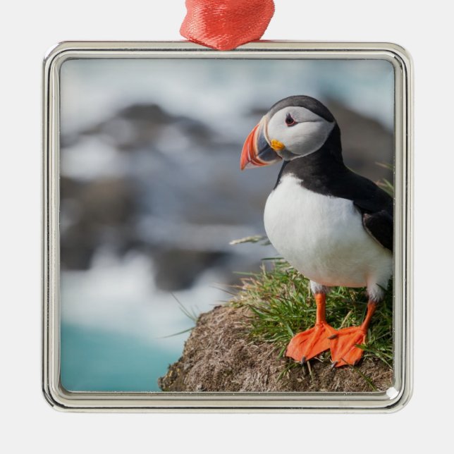 Puffin Julgransprydnad Metall (Framsidan)