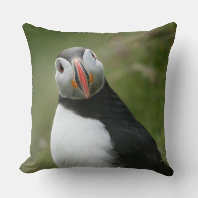 Puffin-kastpilar Kudde (Framsida)
