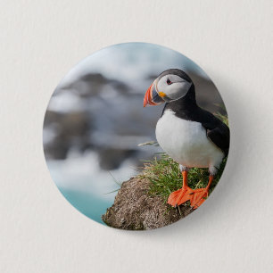 Puffin Knapp