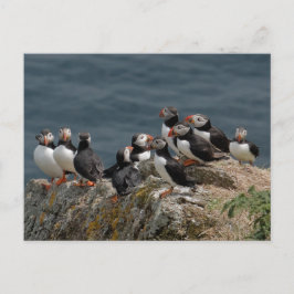 Puffin-konventionen Vykort