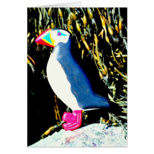 puffin-kort hälsningskort