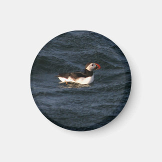 Puffin Magnet