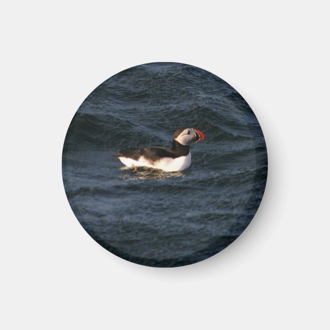 Puffin Magnet (Framsidan)