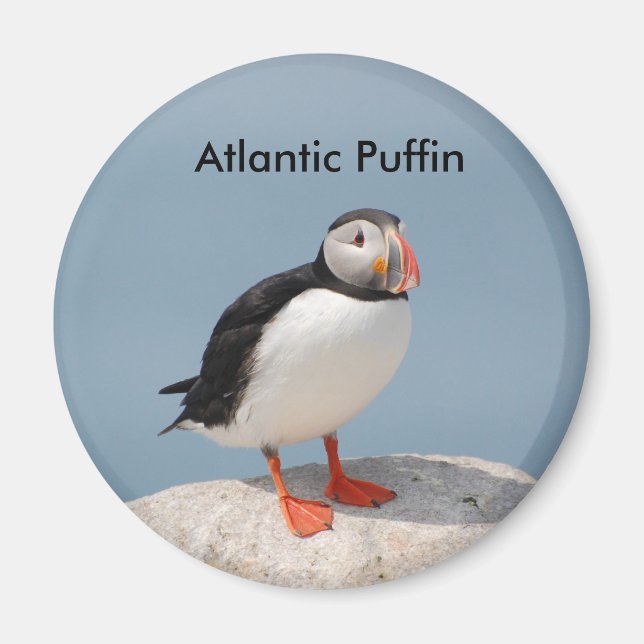Puffin magnet (Framsidan)