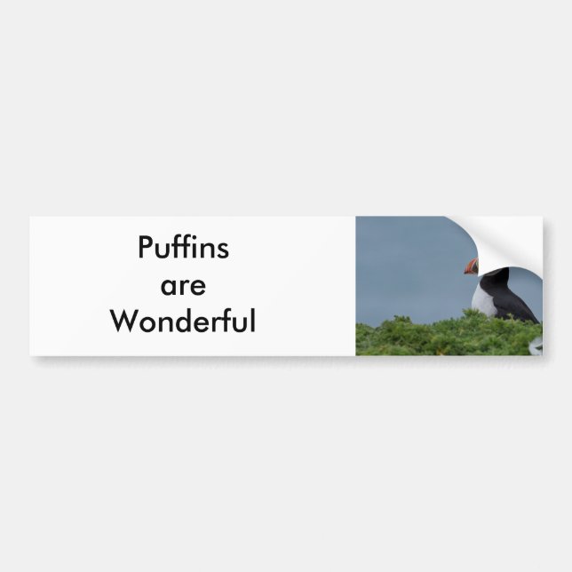 Puffin mig bildekal (Framsidan)