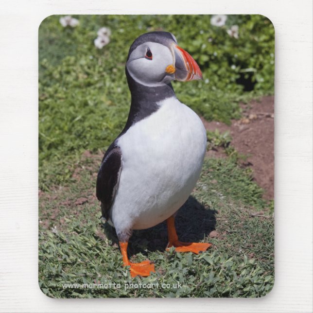 Puffin Mousemat Musmatta (Framsidan)