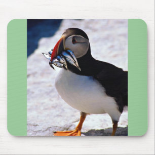 Puffin Musmatta