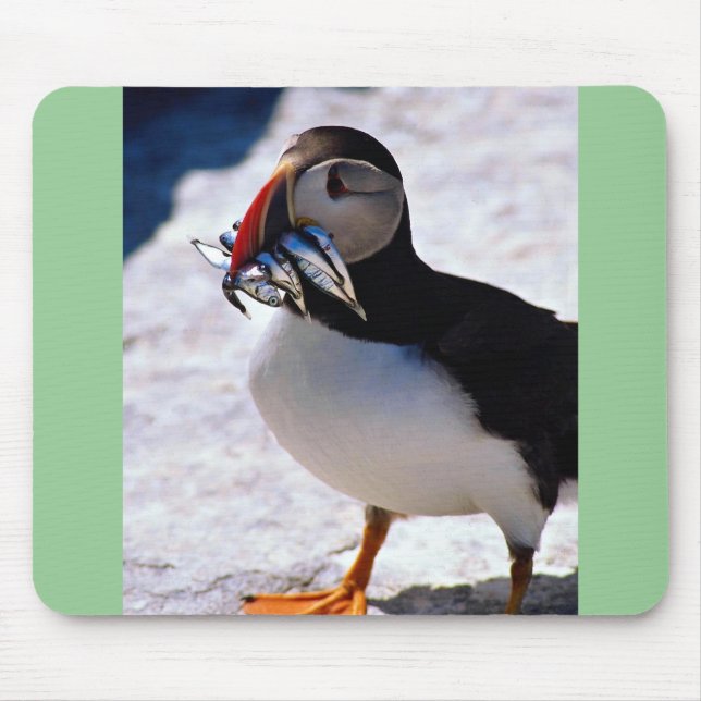 Puffin Musmatta (Framsidan)