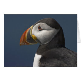 Puffin och Blå himmel Hälsningskort