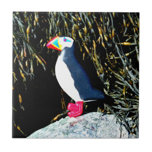 puffin på stenen kakelplatta
