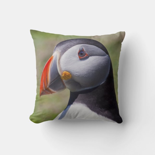 Puffin Porträtt Pillow Kudde (Framsida)