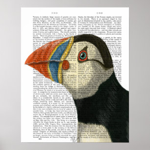 Puffin Porträtt Poster
