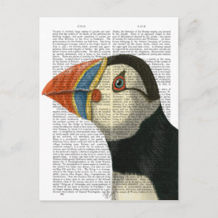 Puffin Porträtt Vykort