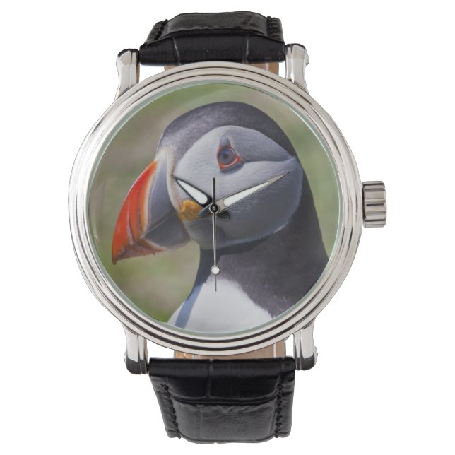 Puffin Porträtt Watch Armbandsur (Framsida)