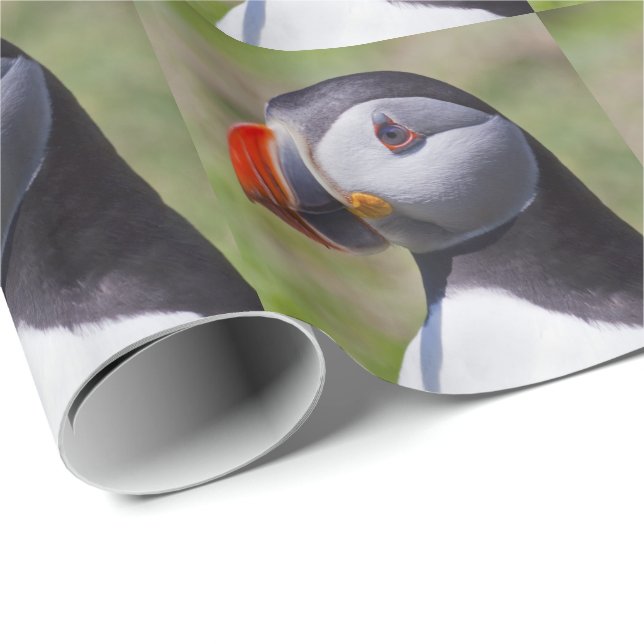 Puffin Porträtt Wrapping Papper Presentpapper (Rullad Hörn)