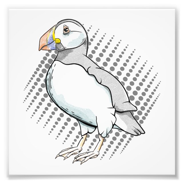Puffin-raster Fototryck (Framsidan)