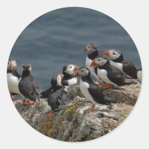 Puffin Runt Klistermärke