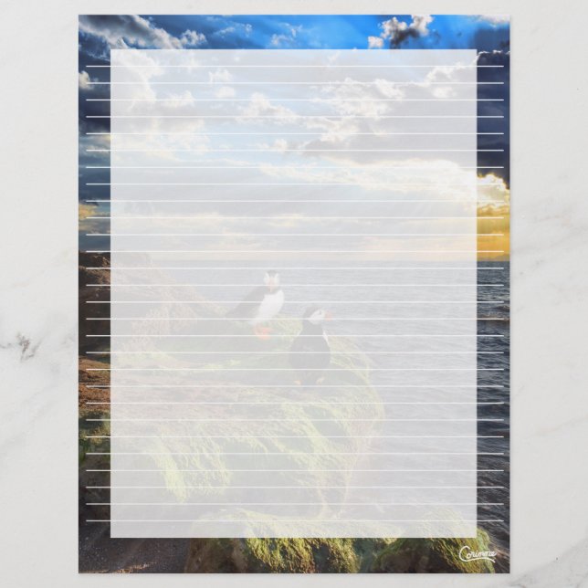 Puffin Sten Lined - 8,5 tum x 11 tum Stationery La (Framsida)