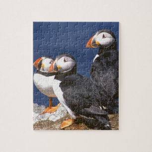 Puffin-tasticpussel Pussel