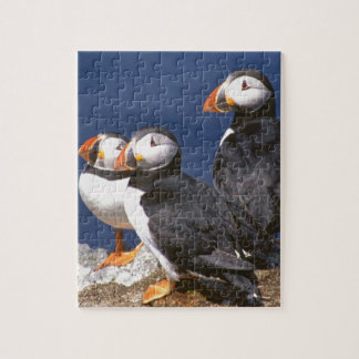 Puffin-tasticpussel Pussel