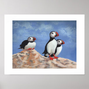 Puffin Trio Poster