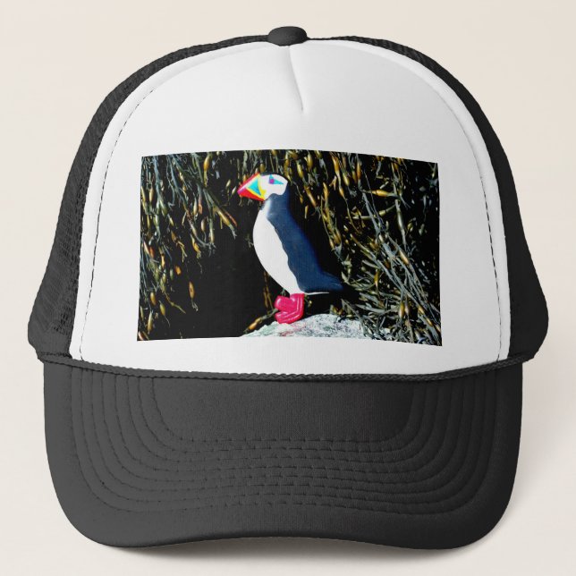 Puffinälskarehatt Keps (Framsida)