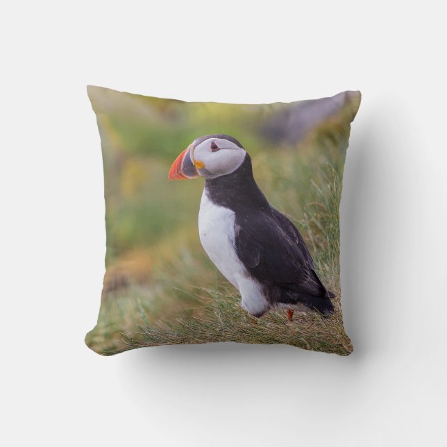 Puffinen kudder kudde (Framsida)