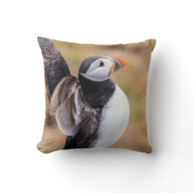 Puffinen kudder