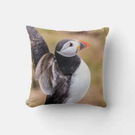 Puffinen kudder kudde